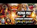 Lagu Pedda puli bonalu song × sunrisers Hyderabad