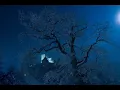 Tony Joe White-Good In Blues