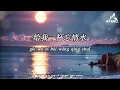 忘情水 Wang Qing Shui (Love-forgetting Water) - Andy Lau / Liu De Hua 刘德华 Lyrics + English Translation