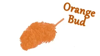 Every Meal I Eat I Be Like Can I Get Some Orange Bud