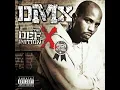 Download Lagu DMX - WHAT THESE BITCHES WANT FROM A NIGGA