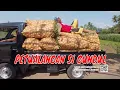 Download Lagu [FULL] PETUALANGAN SI GUNDUL | JEJAK SI GUNDUL (16/11/22)