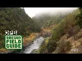 Running a Wild Oregon River In A Wooden Drift Boat