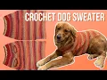 Crochet Dog Sweater Tutorial Fall XL
