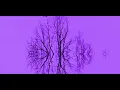 Macon & Seafret – Atlantis (Official Visualizer)