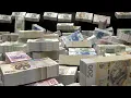 BILLIONS of POLISH ZLOTY Wealth Visualization Manifestation Abundance