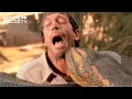 Download Lagu The anaconda attacks - Anaconda