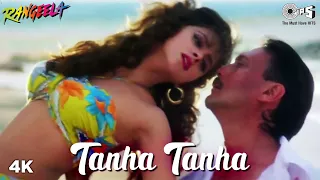 tanha tanha yahan pe jeena urmila matondkar jackie shroff asha bhosle rangeela 90s songs