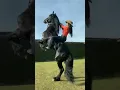 Download Lagu QUAL É A SUA NOTA PRA ESSE LINDO CAVALO PRETO COM A MOÇA EM CIMA DELE