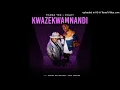 Thama Tee x Chley x Sbuda Maleather x Pabi Cooper - Kwazekwamnadi (Amapiano) DiGiTΔL RiLeY™