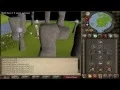 Old School RuneScape Music Zealot Water Altar Theme