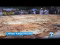 Team of cooks in El Salvador make world s largest pupusa