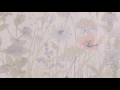 Wildflowers | Tom Petty | Lyrics ☾☀