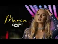 Lagu Prznt - Maria (Official Video)