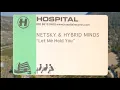 Netsky Hybrid Minds - Let Me Hold You