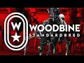 Woodbine Mohawk Park Racetrack Saturday August 15 2026