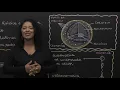 Cell nucleus - Biology - High School