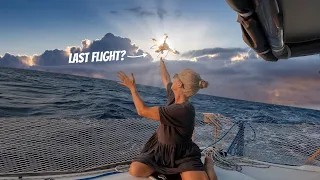 this is NOT Going to End Well