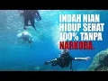 Download Lagu Indah Nian Hidup Sehat 100% Tanpa Narkoba