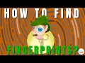 Fingerprint Detection Unveiling Simple Techniques Used by Detectives Even After Wiping