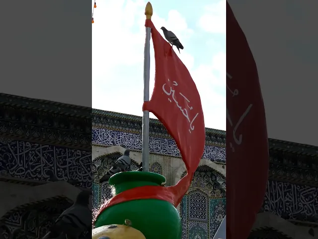 ⁣السلام على الحسين ورحمة الله وبركاته #جامعة_آل_البيت_العالمية#اكسبلور  #ياحسين #حسين