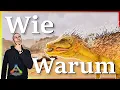 ARK Taming Guide Pegomastax zahmen seine Fahigkeiten mit Humor