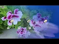 Masterpiece - KARAOKE VERSION - as popularized by Atlantic Starr