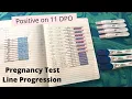 Pregnancy Test Line Progression Positive on 11DPO