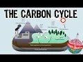 The Carbon Cycle