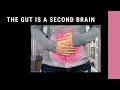 The Gut-Brain Connection How it Relates to Migraine