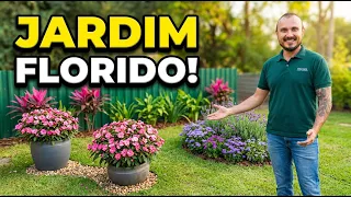 Criamos um jardim com Mandevilla  Ideia de canteiro com FLORES