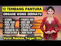 Download Lagu FULL ALBUM TEMBANG TARLING PANTURA | ORGANE WONG DERMAYU | VERSI MAMAE TEGAR / MAMAE ELIS
