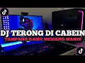 Download Lagu DJ TERONG DI CABEIN || TAMPANG KAMU MEMANG MANIS YANG LAGI VIRAL