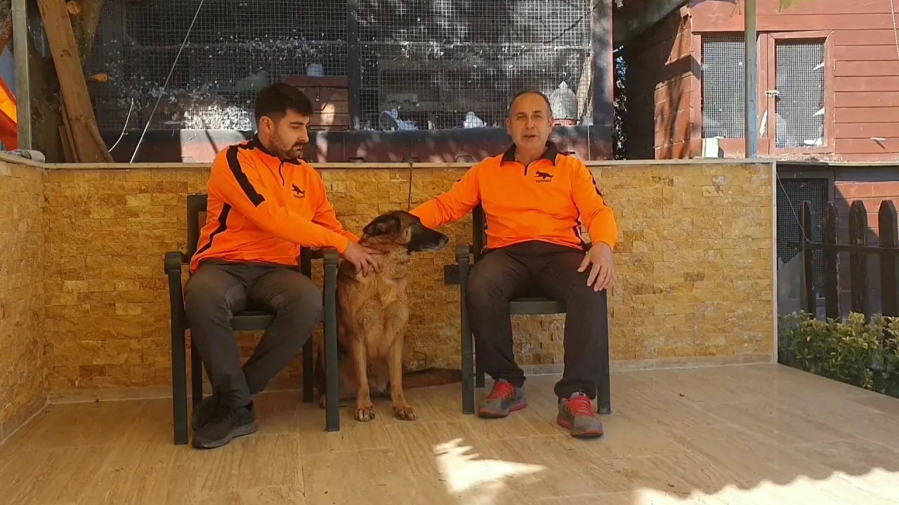 Köpeklerin, Mahrem Yerlerin Koklamasının sebebi budur - HEMEN ÖĞRENİN !!