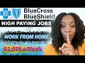 BLUE CROSS BLUE SHIELD REMOTE WORK FROM HOME JOBS NO PHONES PART TIME POSITIONS