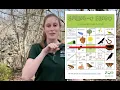 Zoo to You Play Spring-O-Bingo