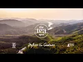 Your Cup of Life Brand Vignette by The Tea Spot