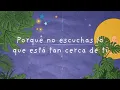 Julieta Venegas - Me Voy (Letra / Lyric)
