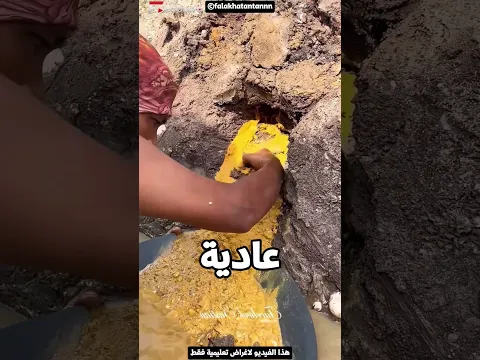 السر اللي كان مستخبي تحت الأرض طلع دهب!