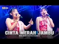 Download Lagu CINTA MERAH JAMBU ( Cinta Lahir Batin ) - AURA SEKAR OM NIRWANA COMEBACK LIVE MOJOKERTO