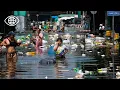 Lagu Bangkok sous l’eau : la catastrophe que le monde ignore – Documentaire Climat  - AMP