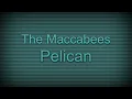 Pelican - The Maccabees