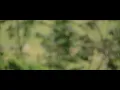 Where Is My Mind (Piano) w/ Rain Sounds - Relaxing Background Music