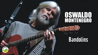 Oswaldo Montenegro - Bandolins