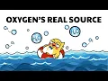 Most of Earth s Oxygen Doesn t Come from Trees - Here s Why