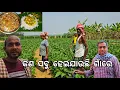 Lagu କଣ ସବୁ ହେଇଯାଉଛି ଗାଁରେ l ମାଟ୍ରିକ ପରୀକ୍ଷା l Gouranga Nayak Odia Vlogs 