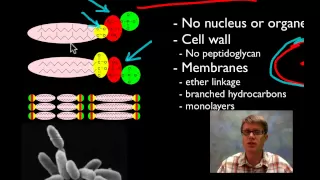 Download Archaea MP3