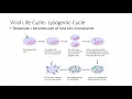 Chapter 6 OpenStax Microbiology