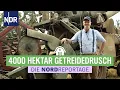 Lagu Hitzeschlacht bei Bauer Kruse - Werner \u0026 Robby retten die Ernte | Die Nordreportage | NDR