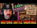 Cash Daddies Cattle Shortage Live 1 30pm pst